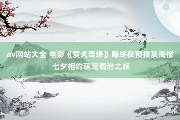 av网站大全 电影《爱犬奇缘》曝终极预报及海报 七夕相约萌宠调治之旅