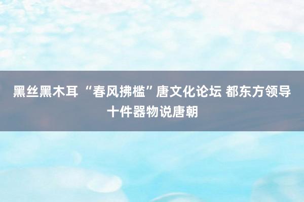 黑丝黑木耳 “春风拂槛”唐文化论坛 都东方领导十件器物说唐朝